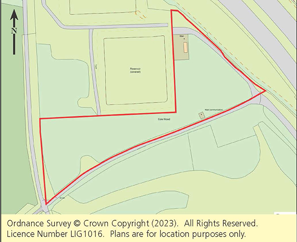 Lot: 175 - OVER THREE AND A HALF ACRES OF WOODLAND WITH MAST INVESTMENT -